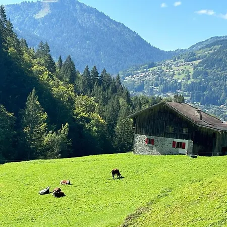 La Ferme A Roger Alpstuga Montriond