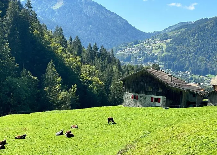 La Ferme A Roger Domek alpejski Montriond